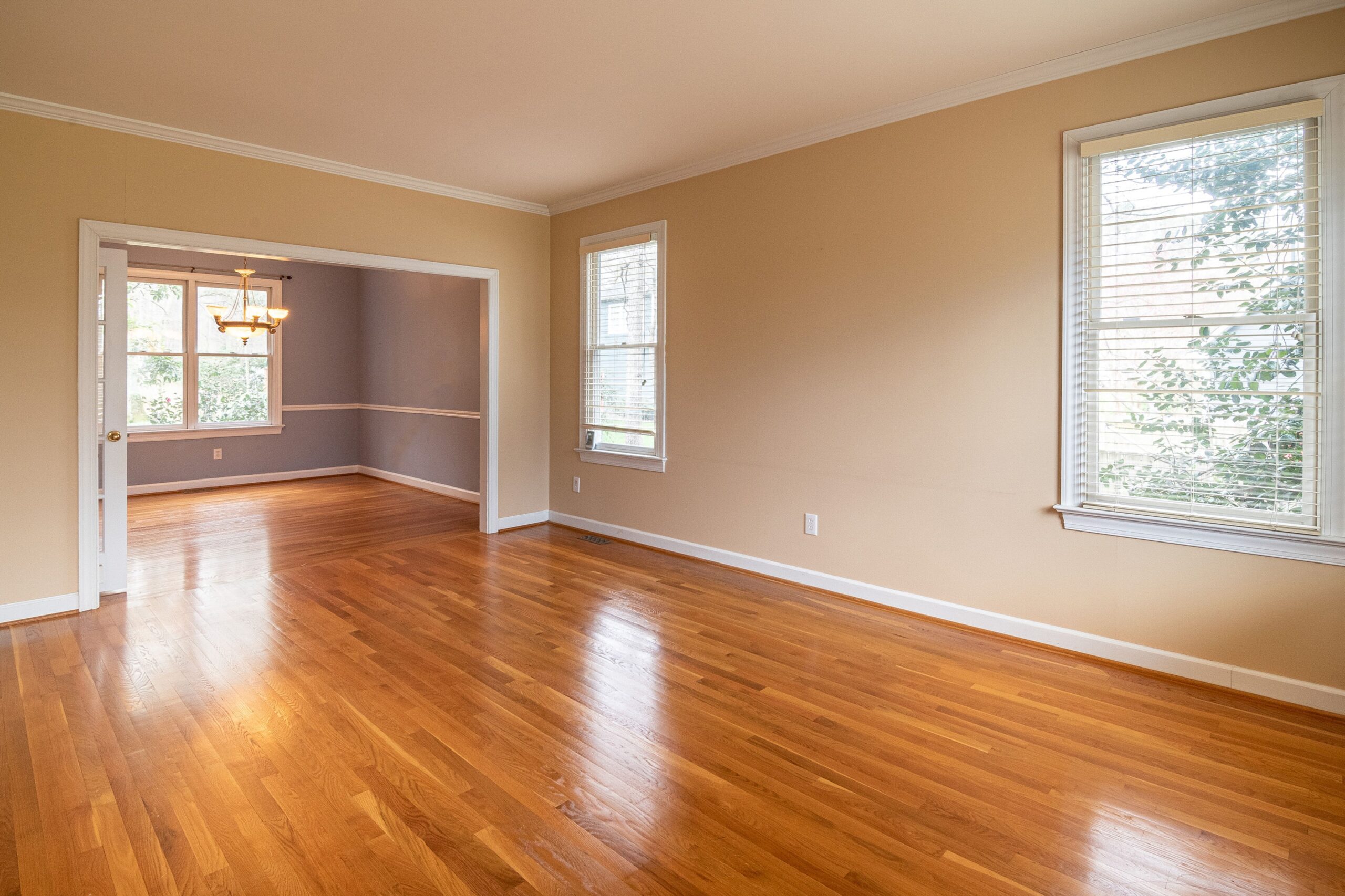 Floors After Clean